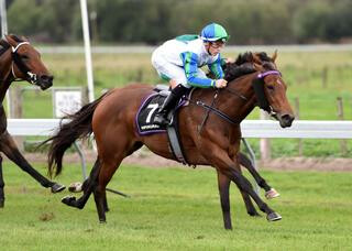 Well-bred mare Flamingo (NZ) (Pins) boosted her value with a black-type win on Wednesday.